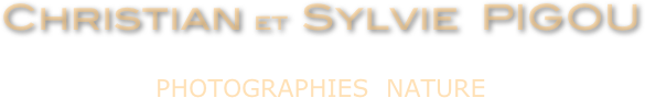 Christian et  Sylvie  PIGOU

PHOTOGRAPHIES  NATURE
